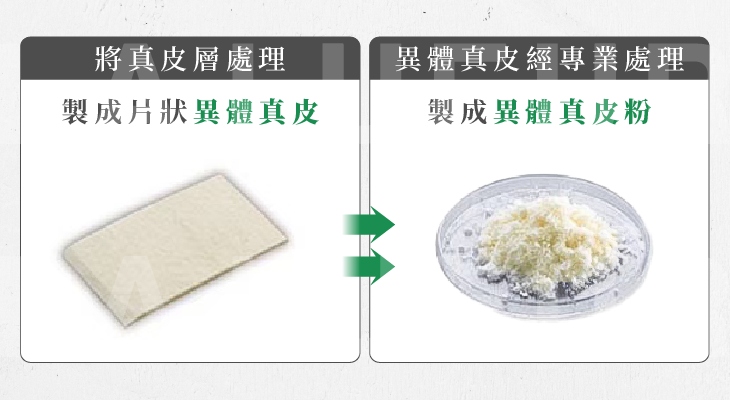 MegaFill異體真皮粉