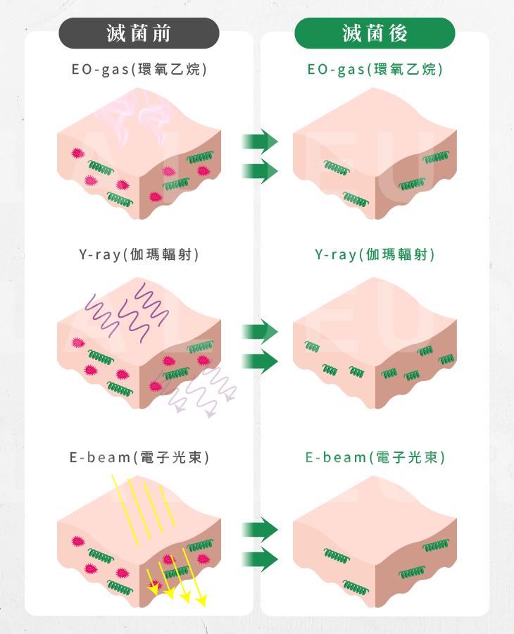 MegaFill異體真皮粉