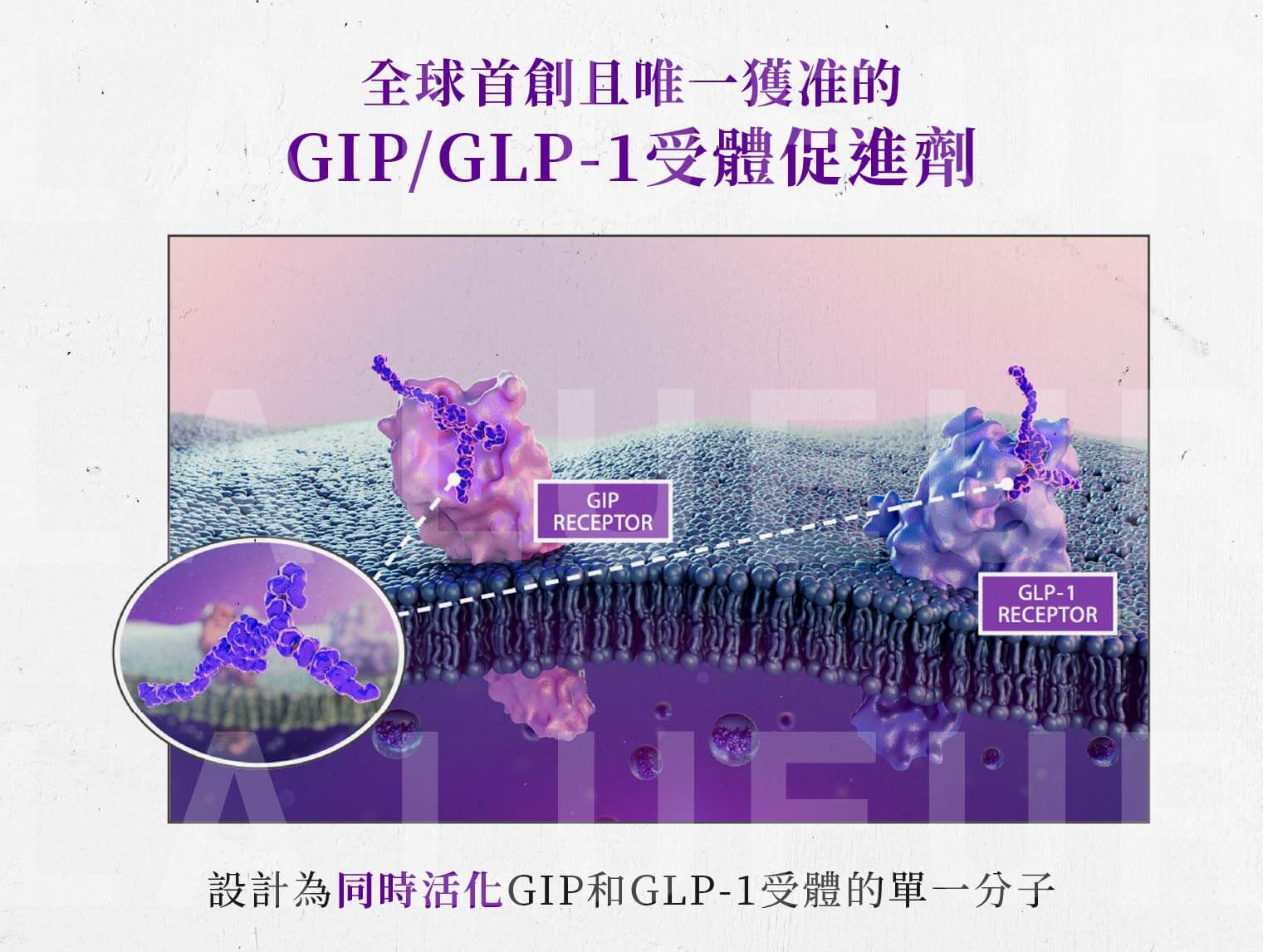Mounjaro猛健樂