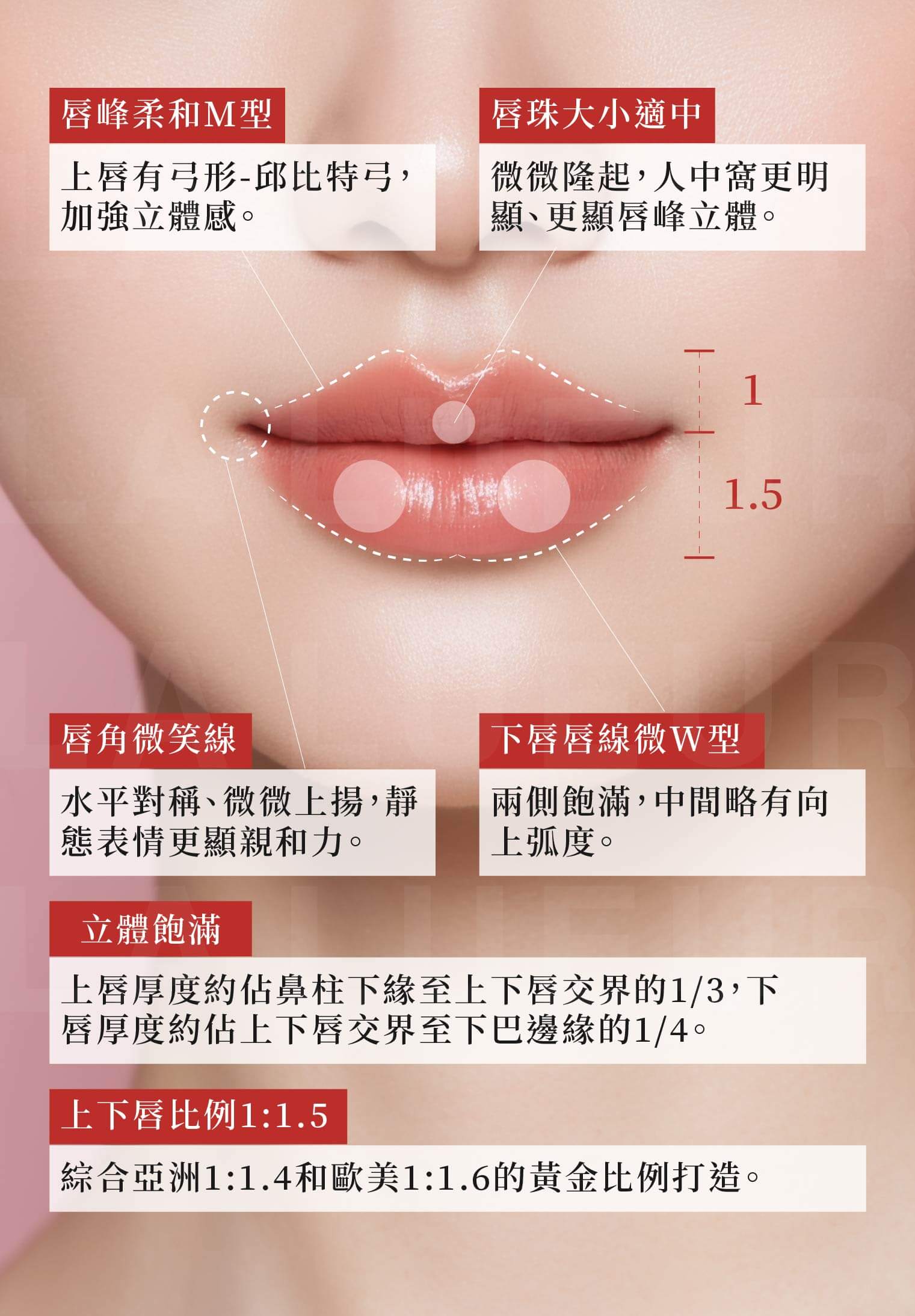 三點式立體嘟嘟唇