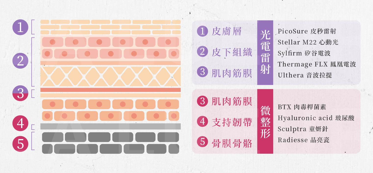 肌膚層次