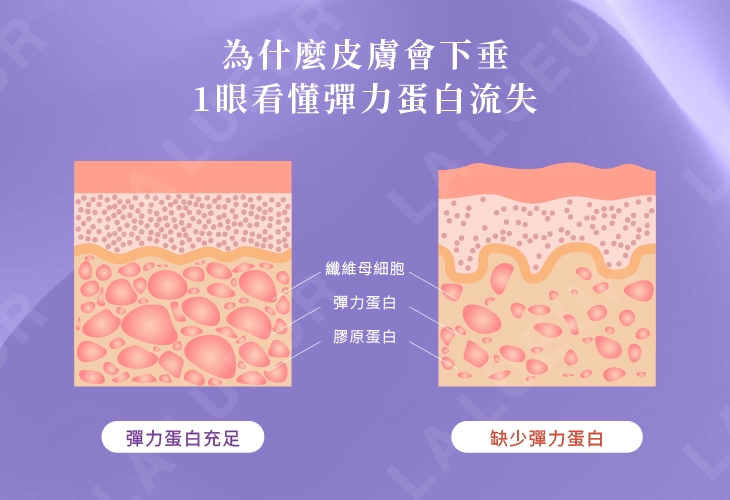 醫師專欄-鳳凰電波vs.無雙電波